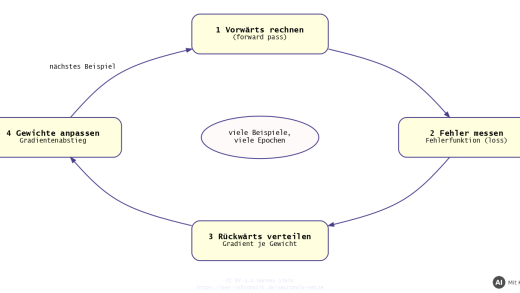 Kreislauf des Trainings mit Backpropagation: vorwärts rechnen, Fehler messen, rückwärts verteilen, Gewichte anpassen (mit KI erstellt)