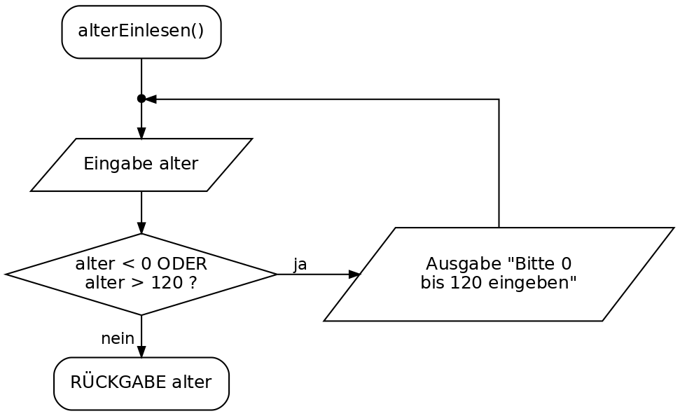 Programmablaufplan: Alter einlesen mit Rücksprung