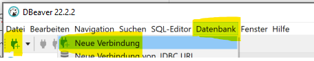 Menü Datenbank/Neue Verbindung oder Verbindungssymbol klicken