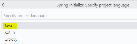 Programmiersprache Java wählen